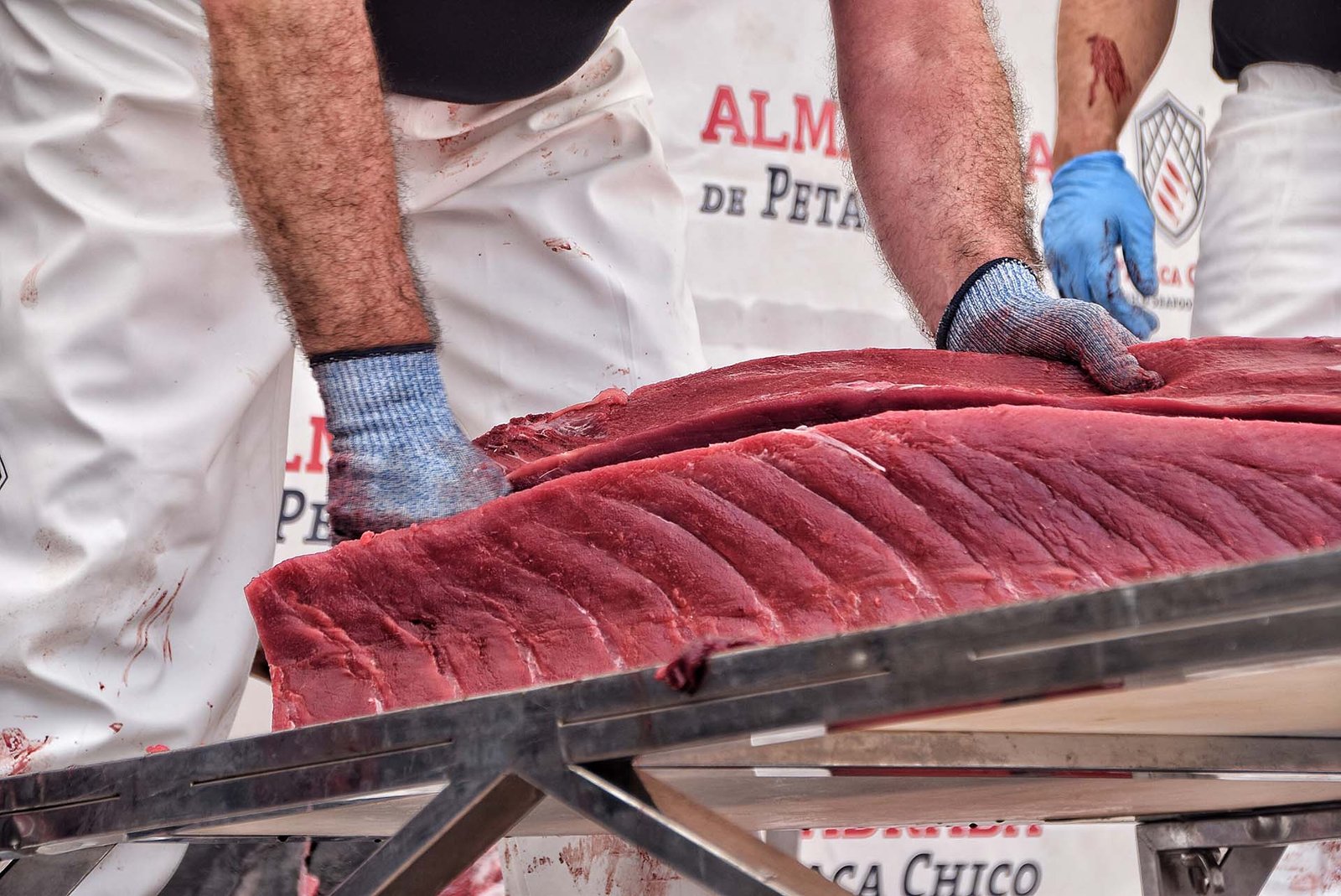 Atún rojo de almadraba