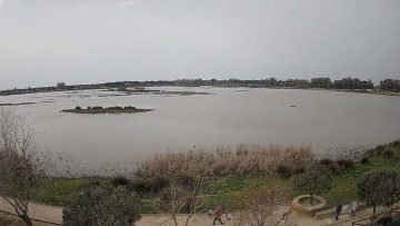23-02-19 HU Almonte 2 El Rocio