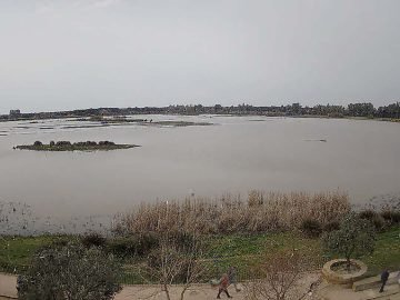 23-02-19 HU Almonte 2 El Rocio