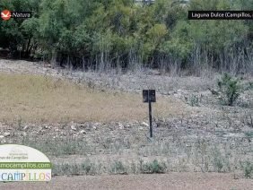 23-07-22 MA Laguna Dulce Campillos