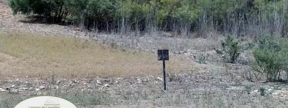 23-07-22 MA Laguna Dulce Campillos