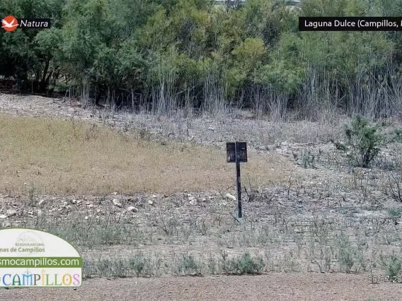 23-07-22 MA Laguna Dulce Campillos