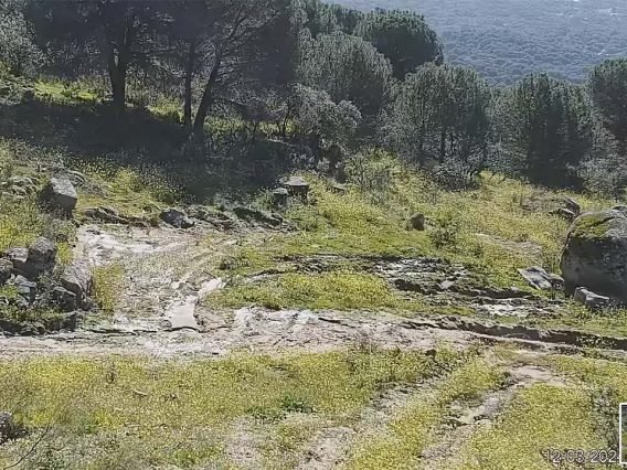 24-03-12 JA Sierra Morena 2