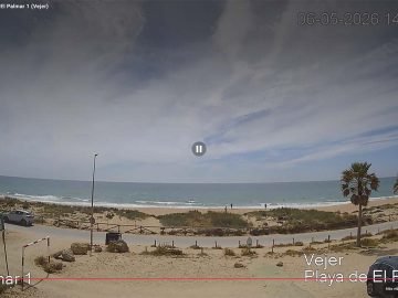 Playa de El Palmar