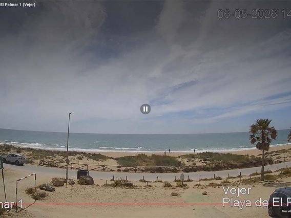 Playa de El Palmar